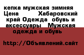 кепка мужская зимняя › Цена ­ 500 - Хабаровский край Одежда, обувь и аксессуары » Мужская одежда и обувь   